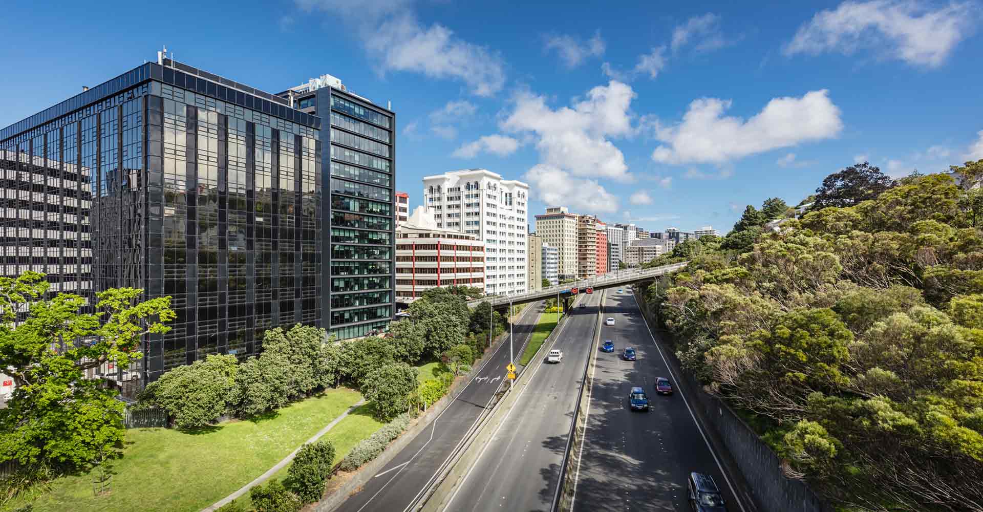 Wellington commercial buildings