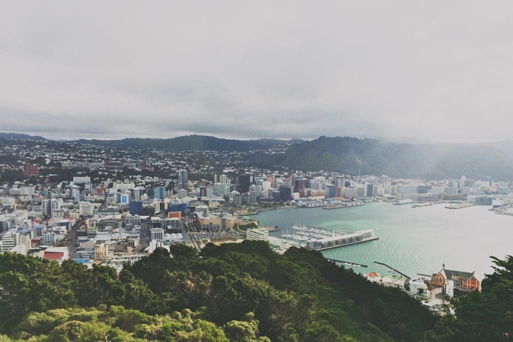 Understanding Wills and Estates in Wellington